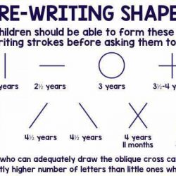 29498023_1302015166599162_244954225000203935_n